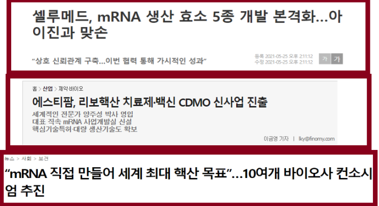  mRNA(메신저 리보핵산) 관련주