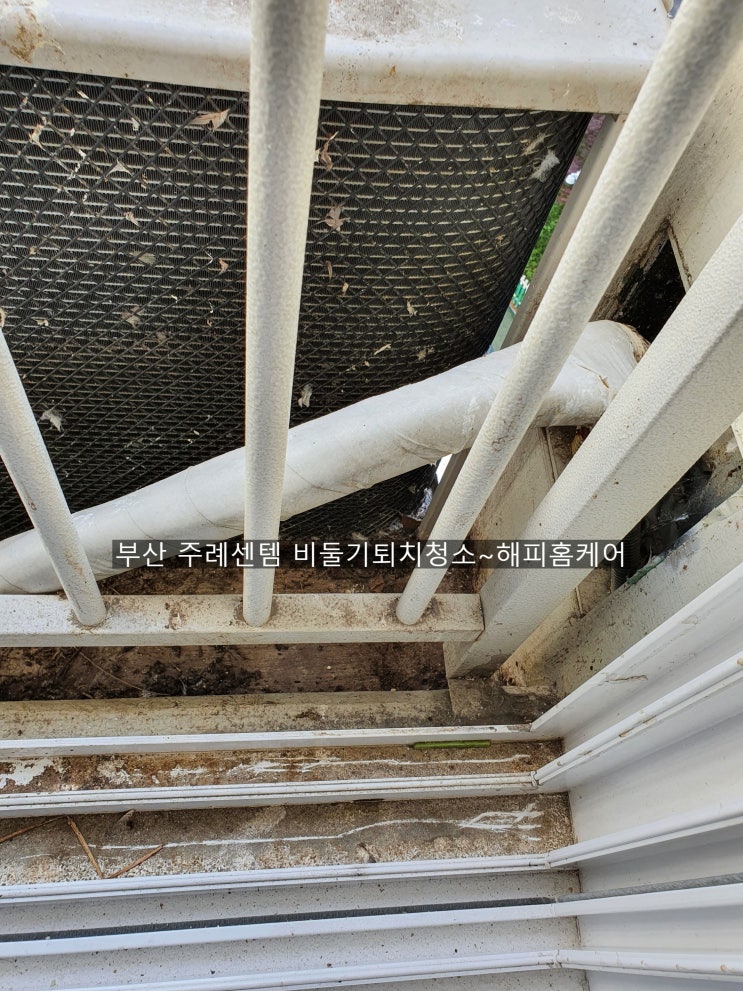  양산비둘기퇴치 부산주례센텀 비둘기악취 완전박멸~해피홈케어