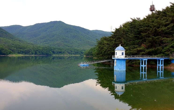 경남 양산 법기수원지 산림욕 휴양지 창원마산부산근교