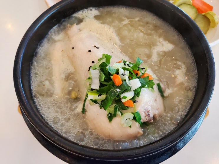  [맛집] 대전 중구 유천동 '풍전삼계탕'