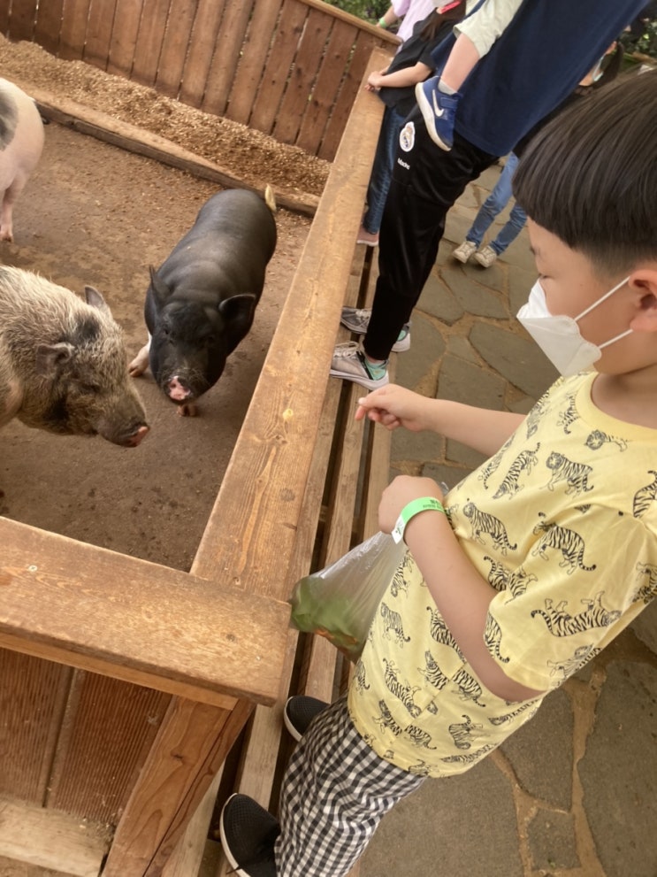  용인 동천식물원 초초오오오오강추