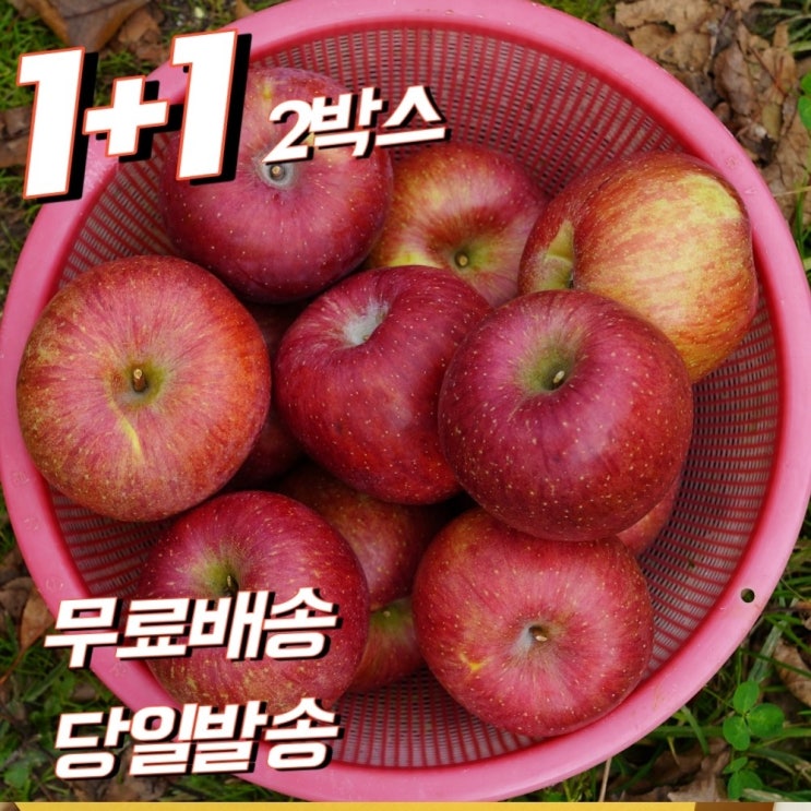 인기있는 1+1 (2박스) 껍질채먹는 신선한 달콤한 아삭아삭 과즙 넘치는 꿀사과 부사 흠집 가정용 못난이 5키로 5kg 10키로 10kg 한박스 ··· 인기있는 1+1 (2박스) 껍질채먹는 신선한 달콤한 아삭아삭 과즙 넘치는 꿀사과 부사 흠집 가정용 못난이 5키로 5kg 10키로 10kg 한박스 ···