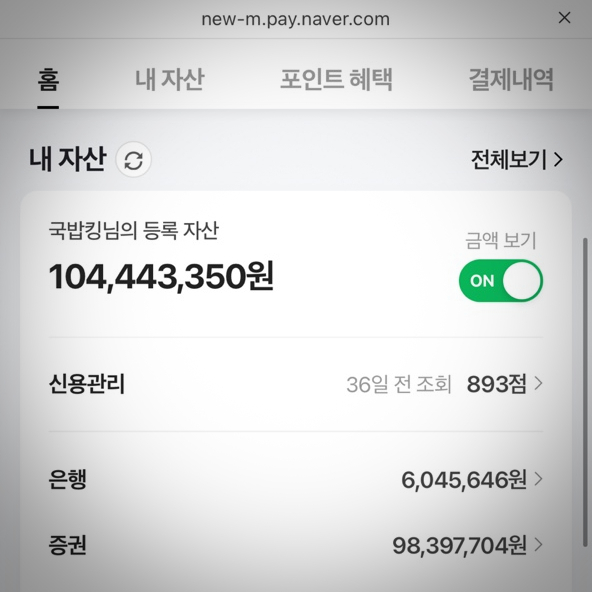  오늘일기 월급날, 29살 1억 모으기 성공! 국내배당주 투자