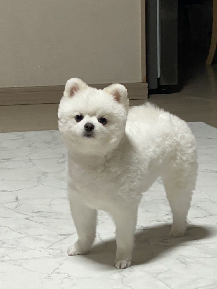  210526 바쁜하루.. 마지막 먹방은 육회 마무으리