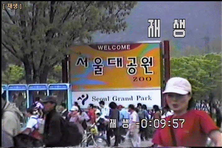 20년, 30년 전 영상 비디오카메라 테이프 변환작업 의뢰 후기(가격, 비용, 인천, 부천지역)
