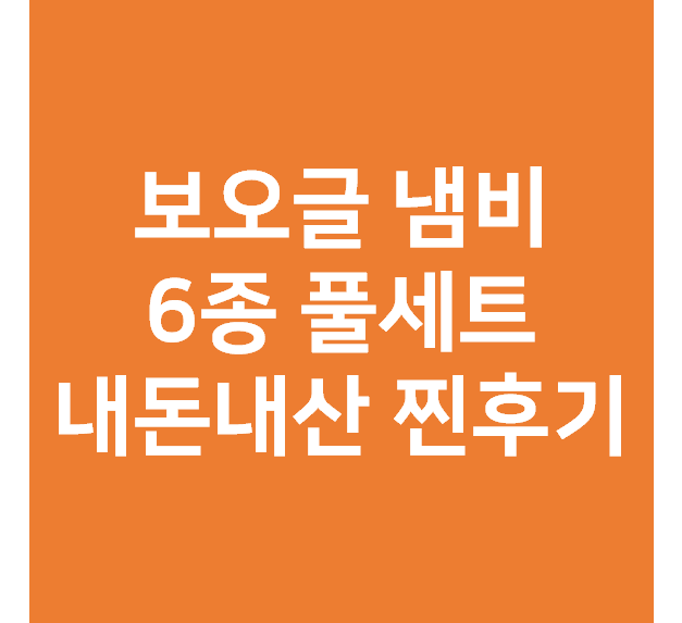  보오글 6종 풀세트 냄비 내돈내산 (단점, 장점, 후기)
