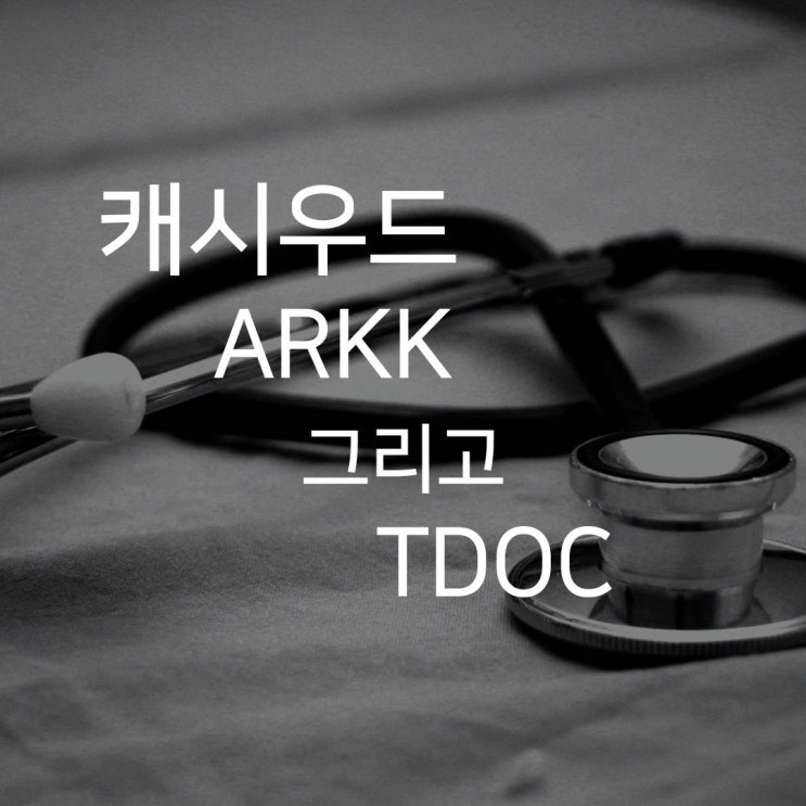  캐시우드의 ARKK 관련주, 텔라닥 TDOC 전망