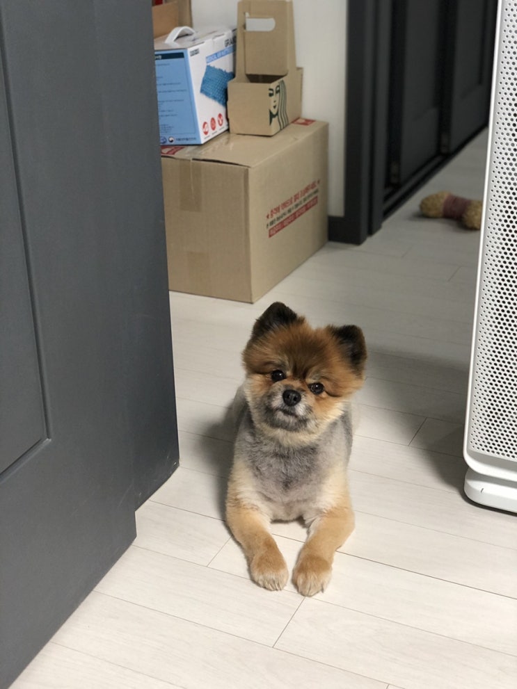 210526 #오늘일기 210526 #오늘일기
