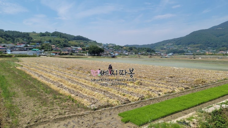  농촌은 지금: 죽은 송장도 움직일때!!!