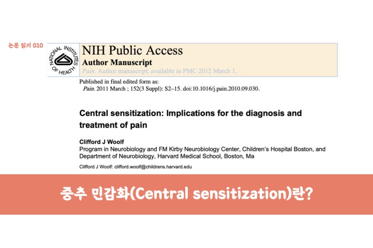  [010] 중추 민감화(Central Sensitization)의 정의와 기전