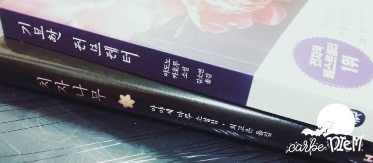 [오늘일기] 기묘한 인연이 있는 차자나무 _ by 냐햐햐님과 violet님