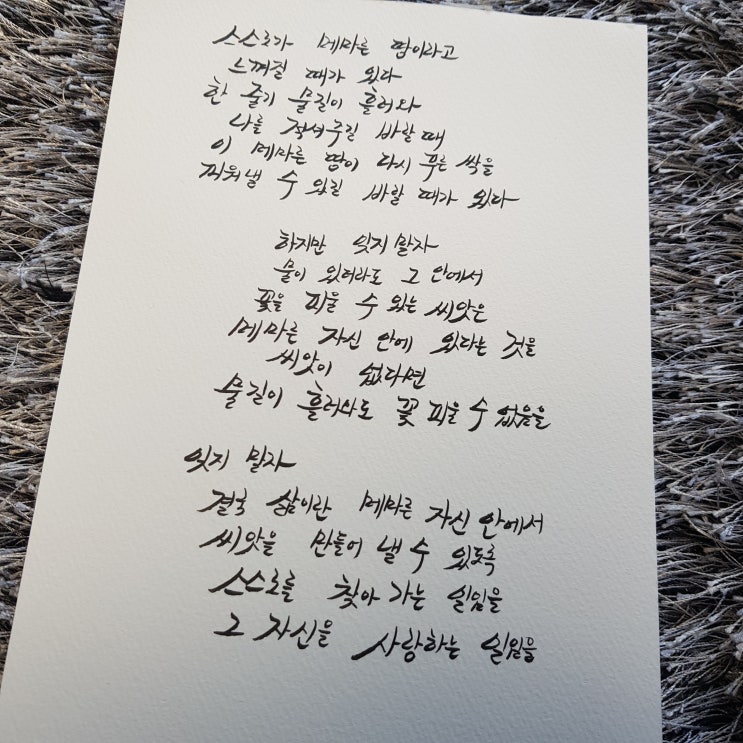  [자작시] 메마름 속에서 - 최진범