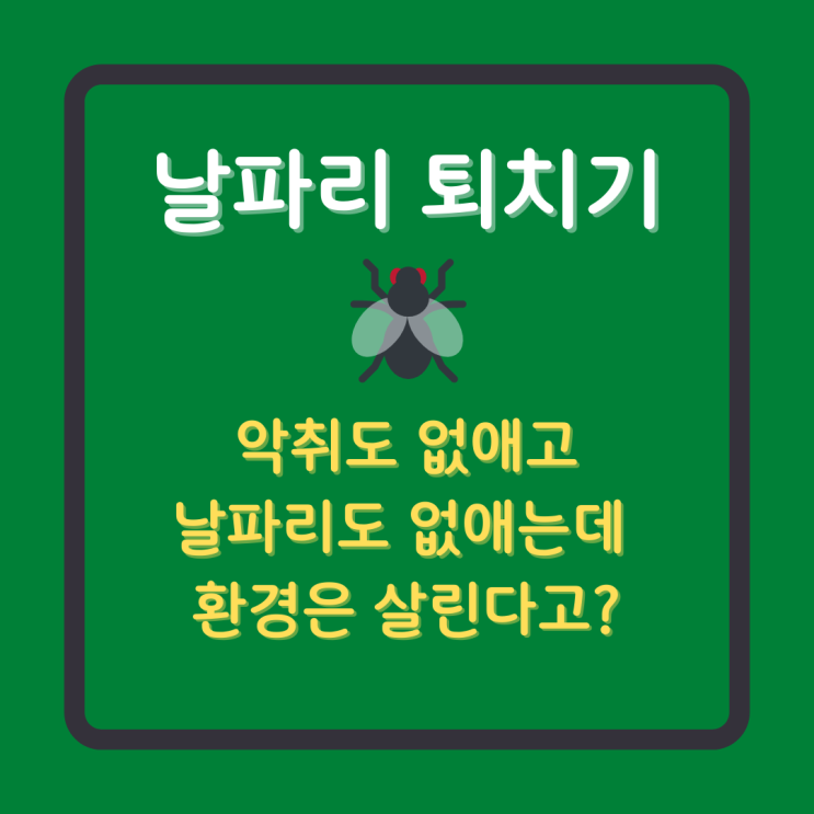 환경도 살리는 날파리 퇴치기