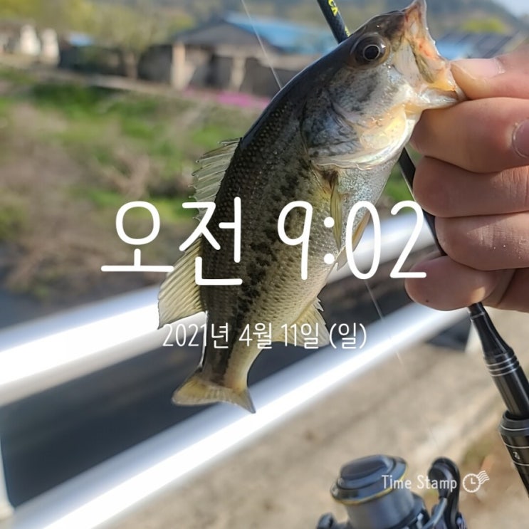  [2021.04.11] 김제 대율저수지 배스 워킹 낚시 (Feat. 미드스트롤링)