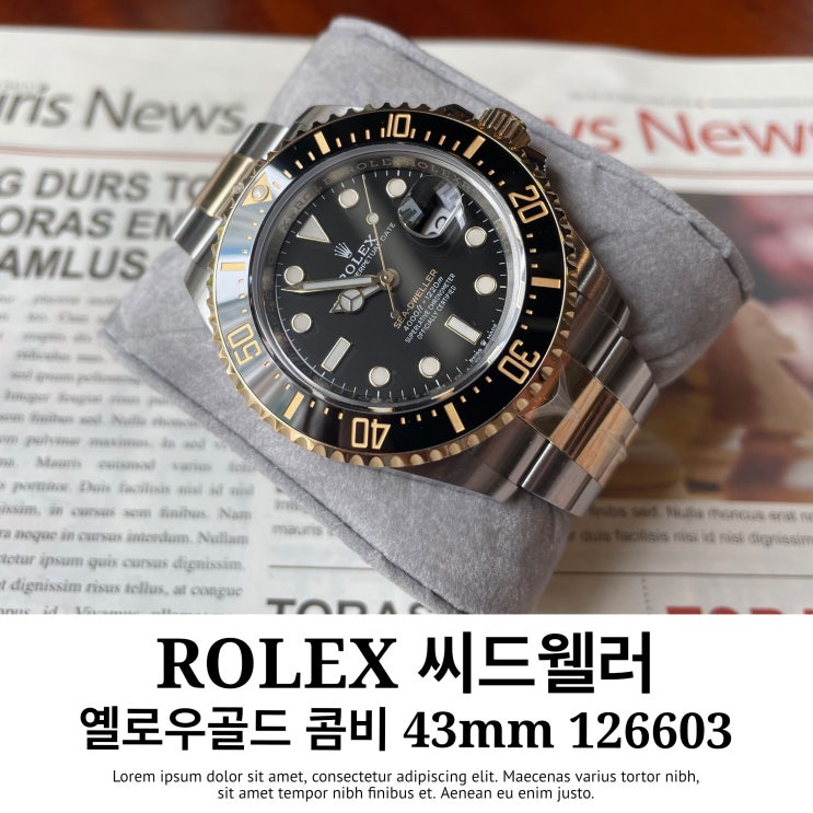  롤렉스 씨드웰러 흑콤 126603 명품시계