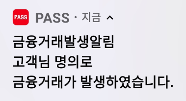  도대체 PASS세이프가드가 뭐길래...