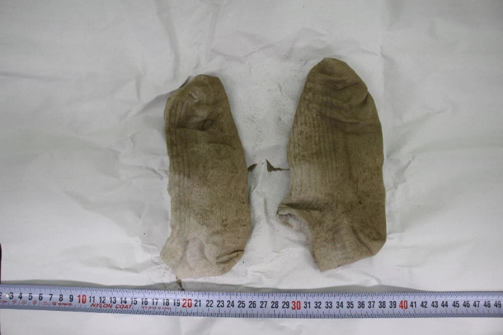 손정민 양말 한강 속 흙 표준편차 내 유사 친구는 왜 찾지 않았나 손정민 양말 한강 속 흙 표준편차 내 유사 친구는 왜 찾지 않았나