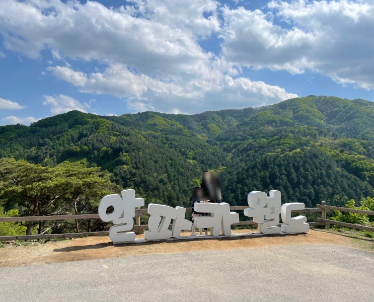  서울 근교 주말 당일치기 홍천 알파카월드 아이들과 놀기 좋은 곳