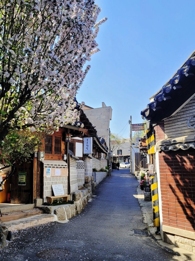  [서울] 4월초 다녀온 서울 사진 (제2롯데월드, 삼청동 북촌책방 ,연희동 The Yang)