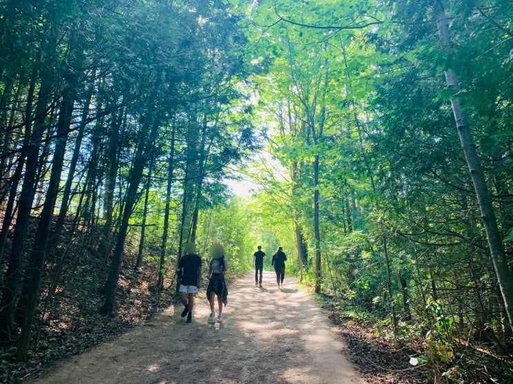  [캐나다 여행] 토론토 근교 여행 하이킹 하기 좋은 Mono Cliffs Provincial Park