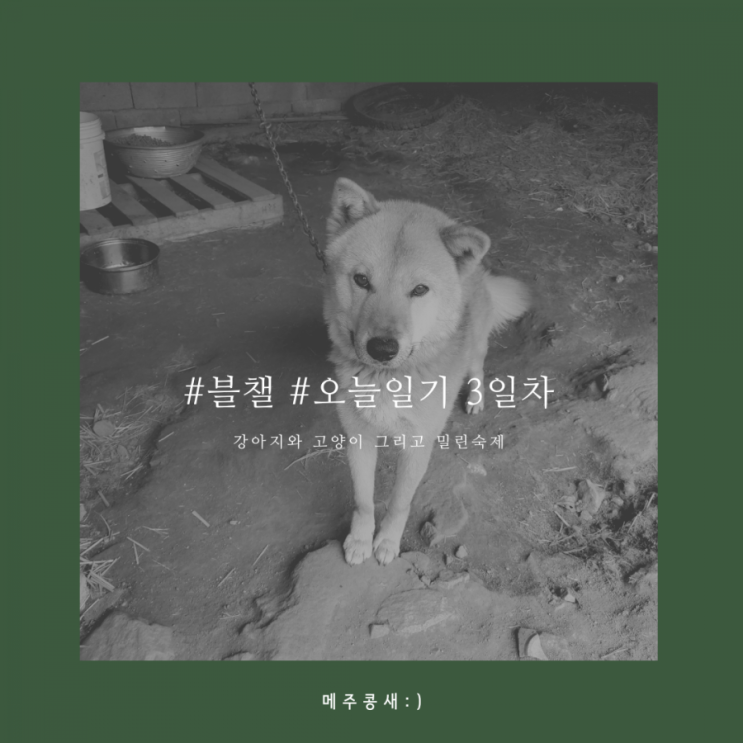  오늘일기 3일차