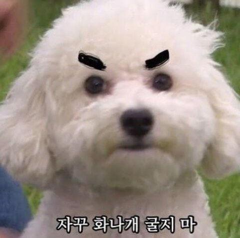 타오바오 해외 카드결제 후 취소까지 얼마나 걸릴까?