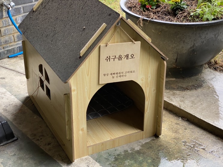  [오늘의일기] 21.5.26.(수) 비워낼수록 채워진다