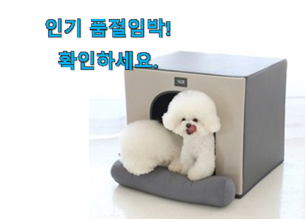 최후의 선택 강아지집 아이템 인터넷을 뜨겁게 달궜대요 최후의 선택 강아지집 아이템 인터넷을 뜨겁게 달궜대요