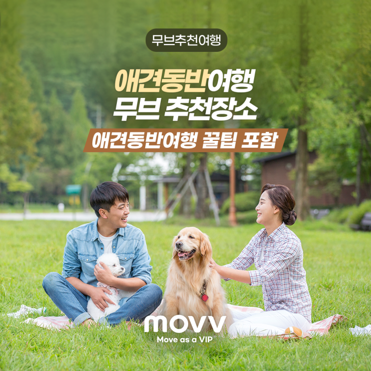  애견동반여행 무브(MOVV) 추천장소! 애견동반여행 꿀팁 포함