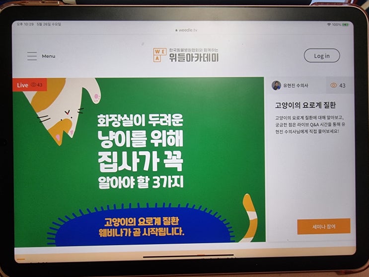  오늘 하루의 가장 알찬 시간은? 온라인 웨비나 수업이네!