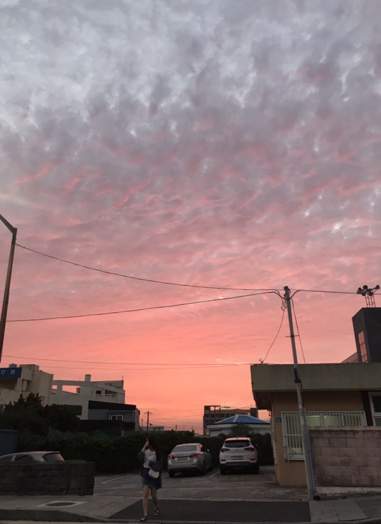  삼일째