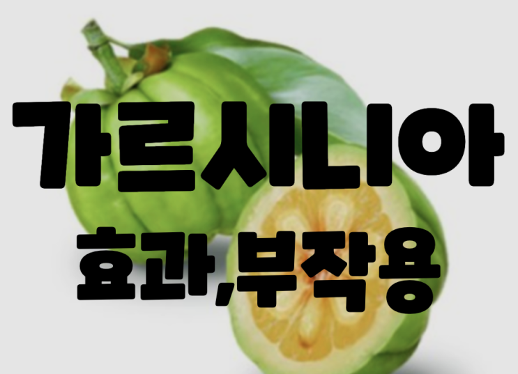  #체지방 감소 가르시니아 효과 확실해? 효능과 과다복용섭취하면 ~