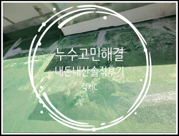  방수, 누수 공사 TIP & 누수 공사 내돈내산후기