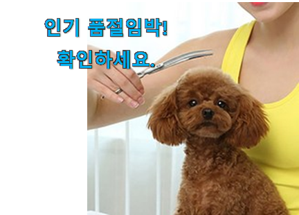가성비템 애견 미용가위 아이템 구성이 참 좋아요 가성비템 애견 미용가위 아이템 구성이 참 좋아요