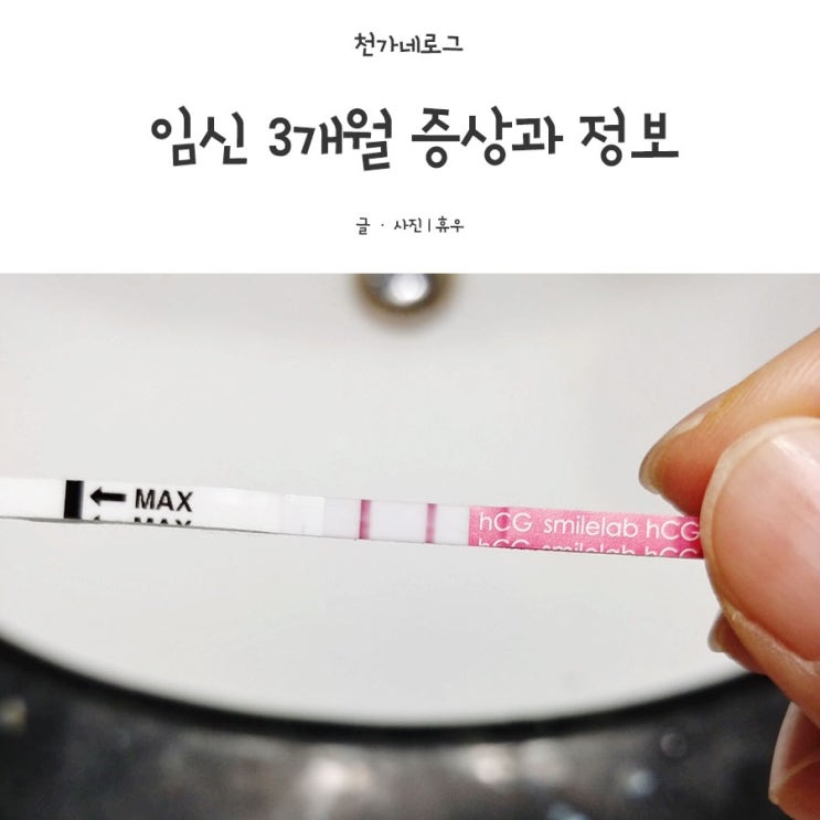  임신3개월 증상과 정보