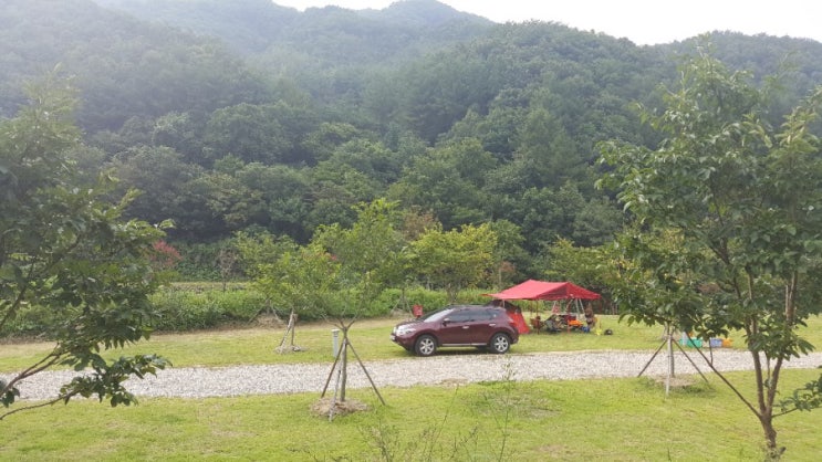  저 푸른 초원위에