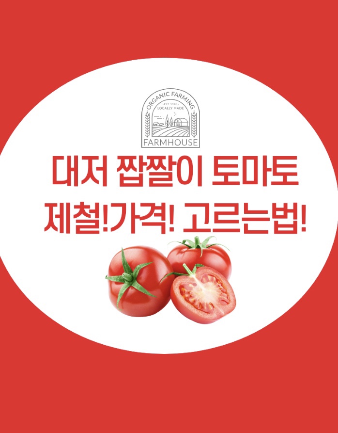  *당도 높은 토마토! 부산 대저 짭짤이 찰 토마토 제철 가격은?*