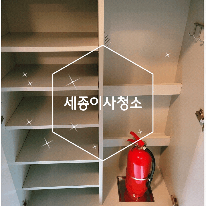  세종이사청소 도담동 프로터치 업체 견적부터 후기까지