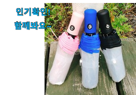  선물하고픈 자동 우산 3단 자동 투명 아이템 친구들도 인정하네요