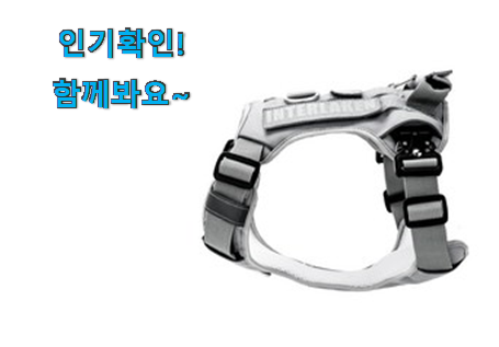  믿고쓰는 대형견 하네스 물건 요즘 이거 없이는 못살겠어요 ㅎㅎ