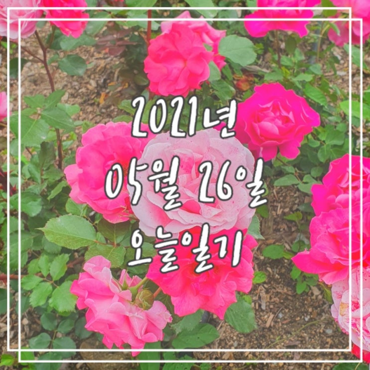  2021년 5월 26일