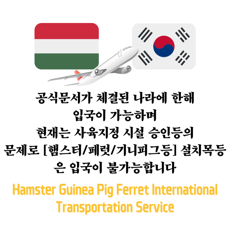  헝가리에서 강아지입국 반려견입국외 동물검역 햄스터 기니피그 페럿 페릿 한국입국 검역증명서 체결소식!