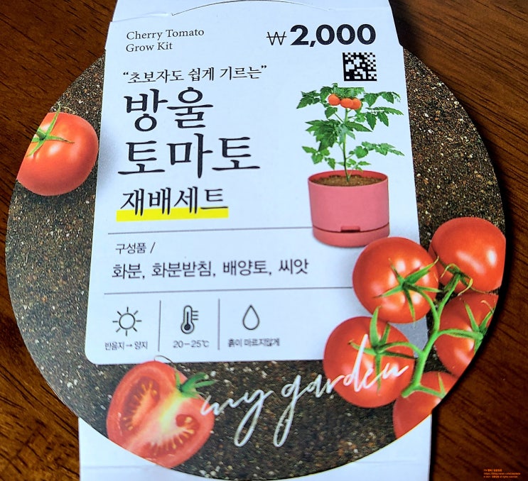  방울토마토 재배세트 < 다이소 > #블챌#오늘일기