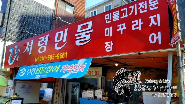  서산장어  서령민물 서산동부시장 민물고기 전문 구이용 장어구매!
