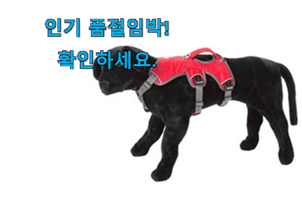 소문난 러프웨어 하네스 구매 신뢰가 가네요 소문난 러프웨어 하네스 구매 신뢰가 가네요