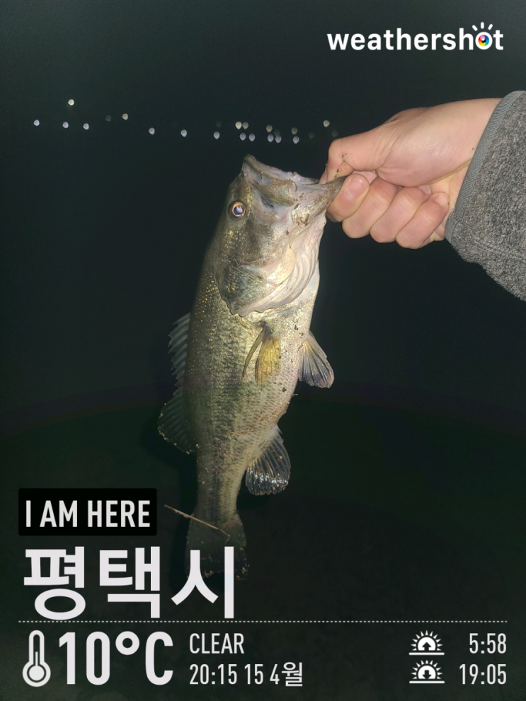  [2021.04.15] 평택 둔포천 배스 워킹 낚시 (Feat. 벌징)