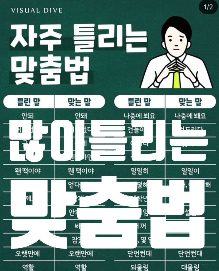  특히 많이 틀리는 맞춤법 ! 글 교정 맞춤법! 자기 소개서 맞춤법 공부