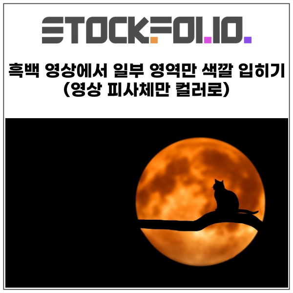  흑백 영상에서 일부 영역만 색깔 입히기 (영상 피사체만 컬러로) 프리미어프로 lumetri 편집