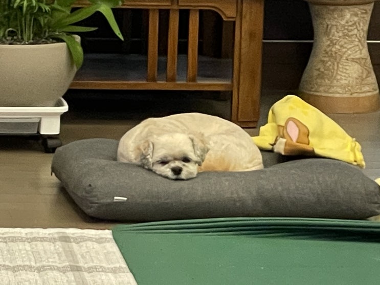  오늘일기 세번째 챌린지