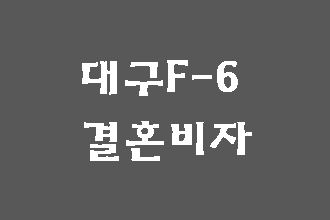  대구 F-6 결혼비자 발급의 소득요건